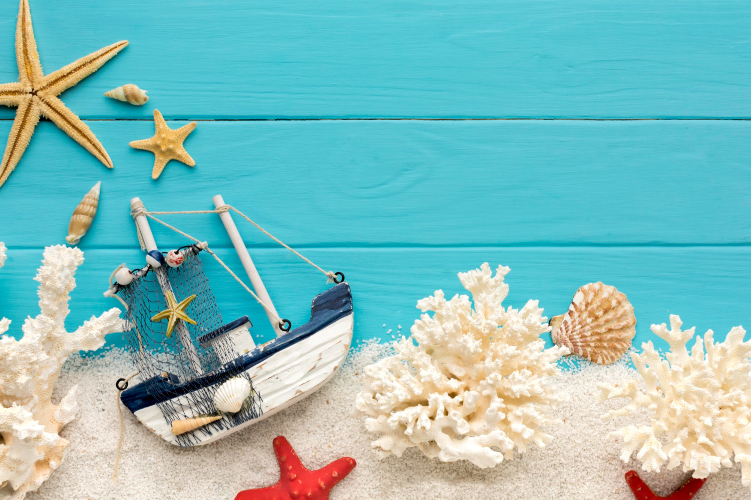 Marin Baby – laptop